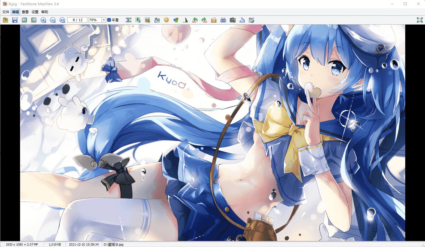 FastStone MaxView v3.5绿色中文版 免解压看压缩包图片工具